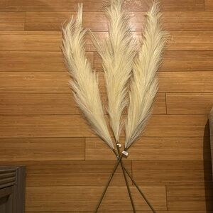CB2 Faux Pampas Grass Taupe Stem 39" Set Of 3